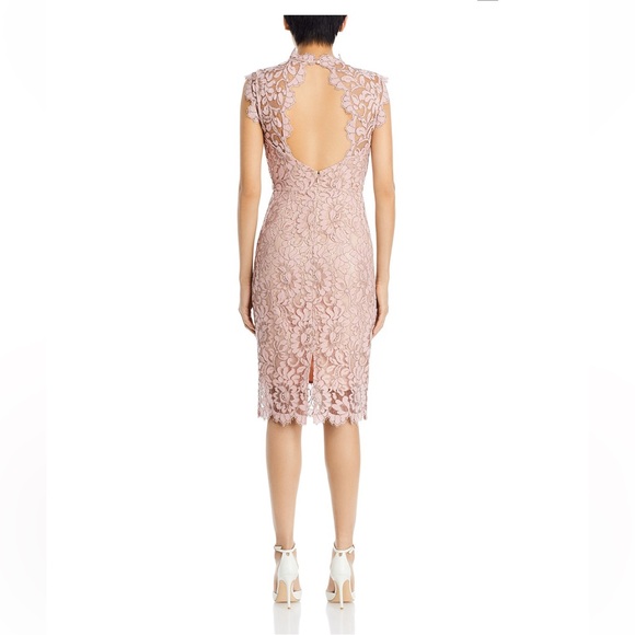 Eliza J Pink Lace Midi Dress - Picture 4 of 7